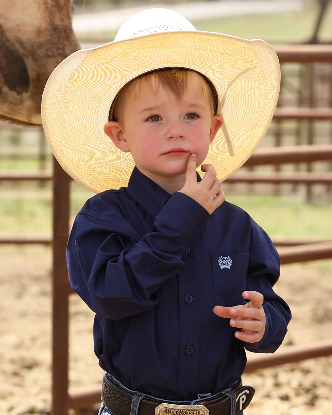 Boy's Button-Down Western Shirt - Image 3