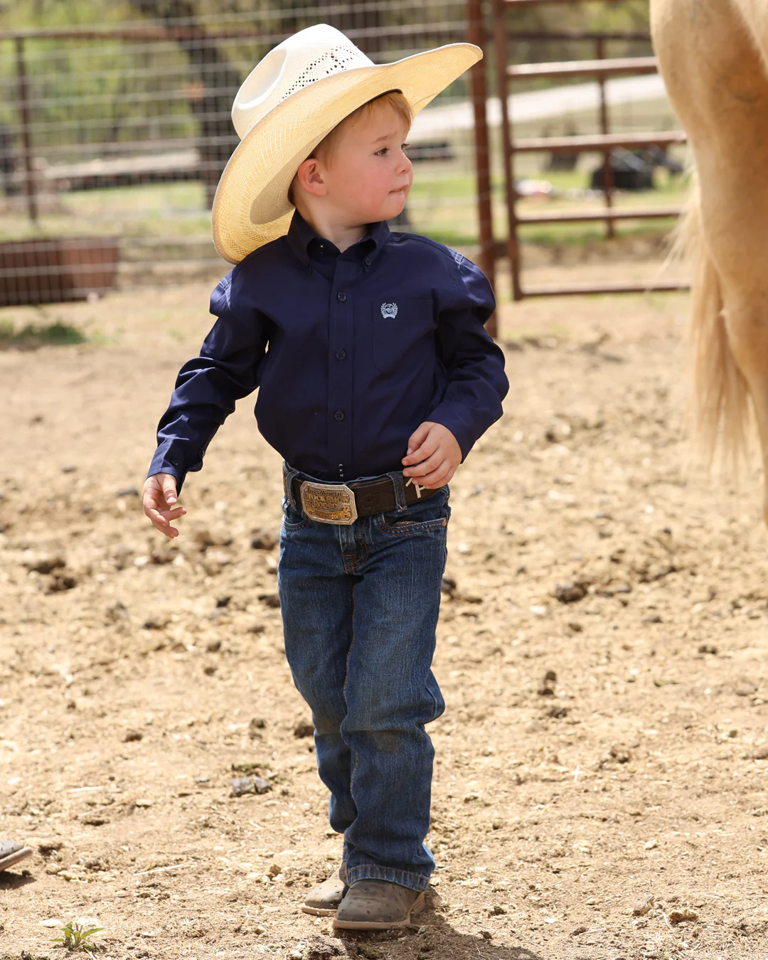 Boy's Button-Down Western Shirt - Image 4