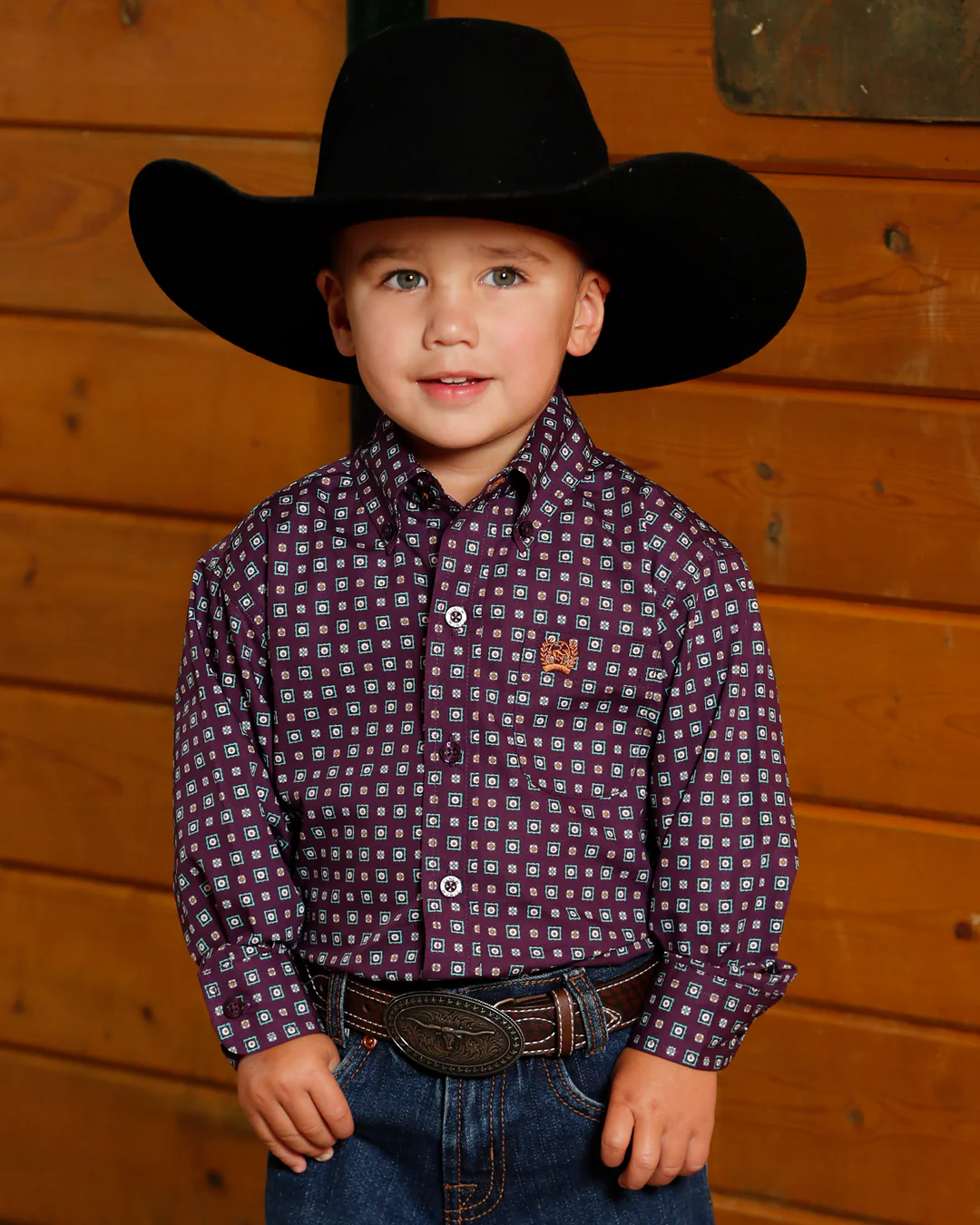 Boy's Button-Down Western Shirt - Image 3
