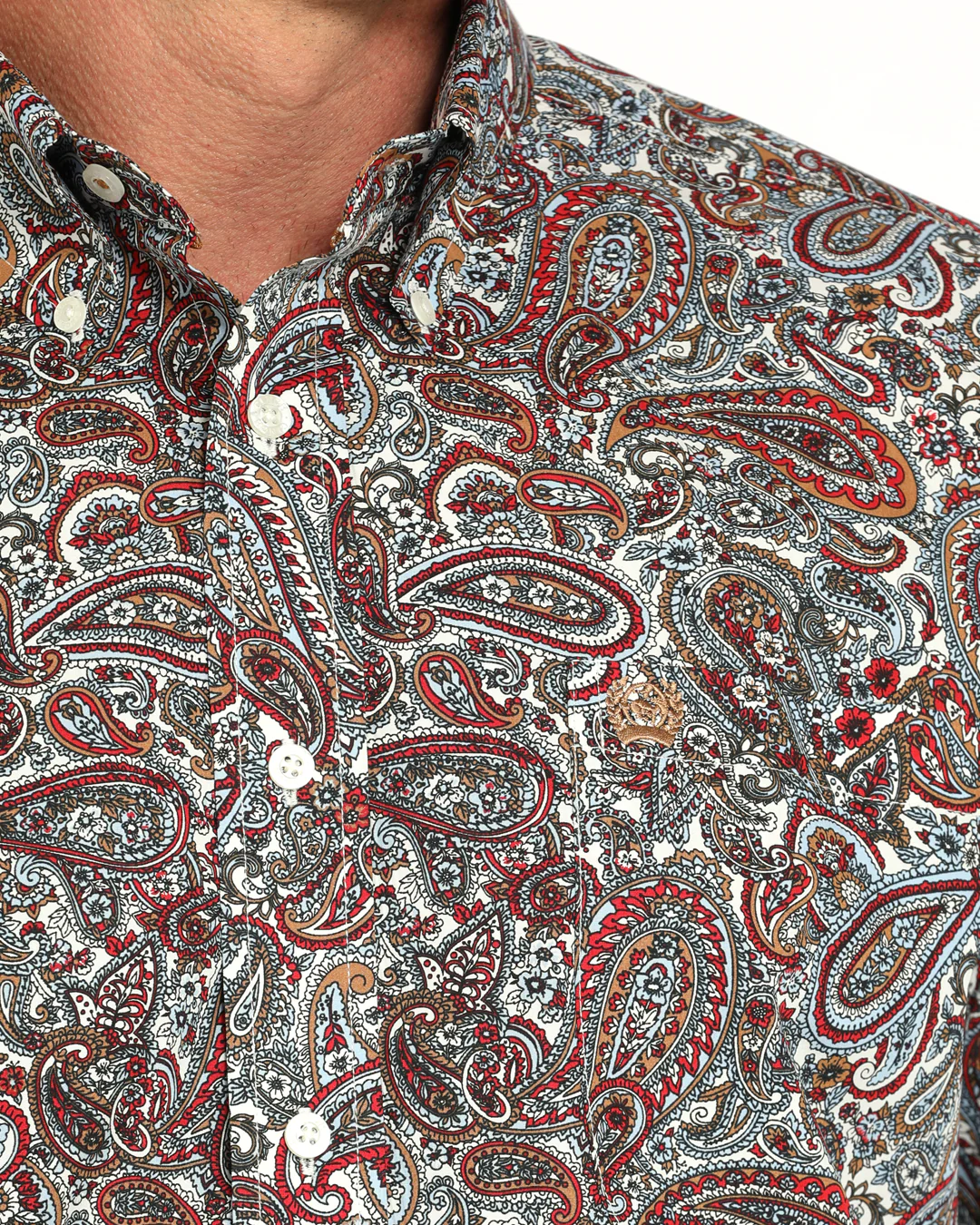 Men's Paisley Classic Fit Button-Down Western Shirt - Image 3