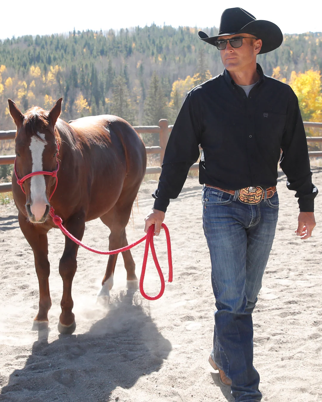 Men’s Solid Arenaflex® Button-Down Western Shirt - Image 4