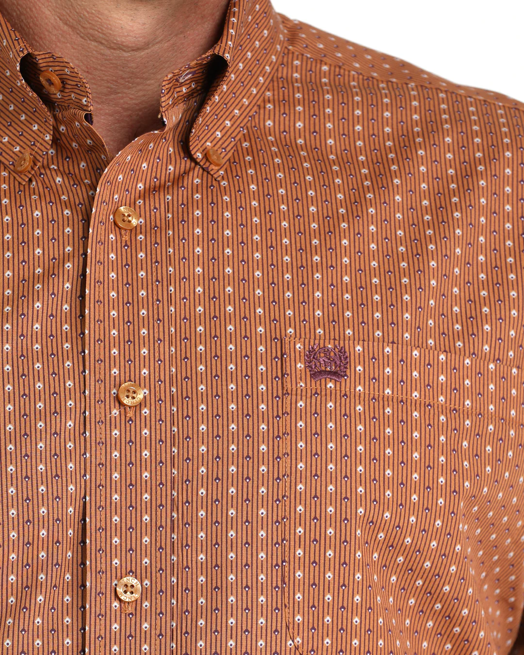 Men's Classic Fit Button-Down Western Shirt - Image 3