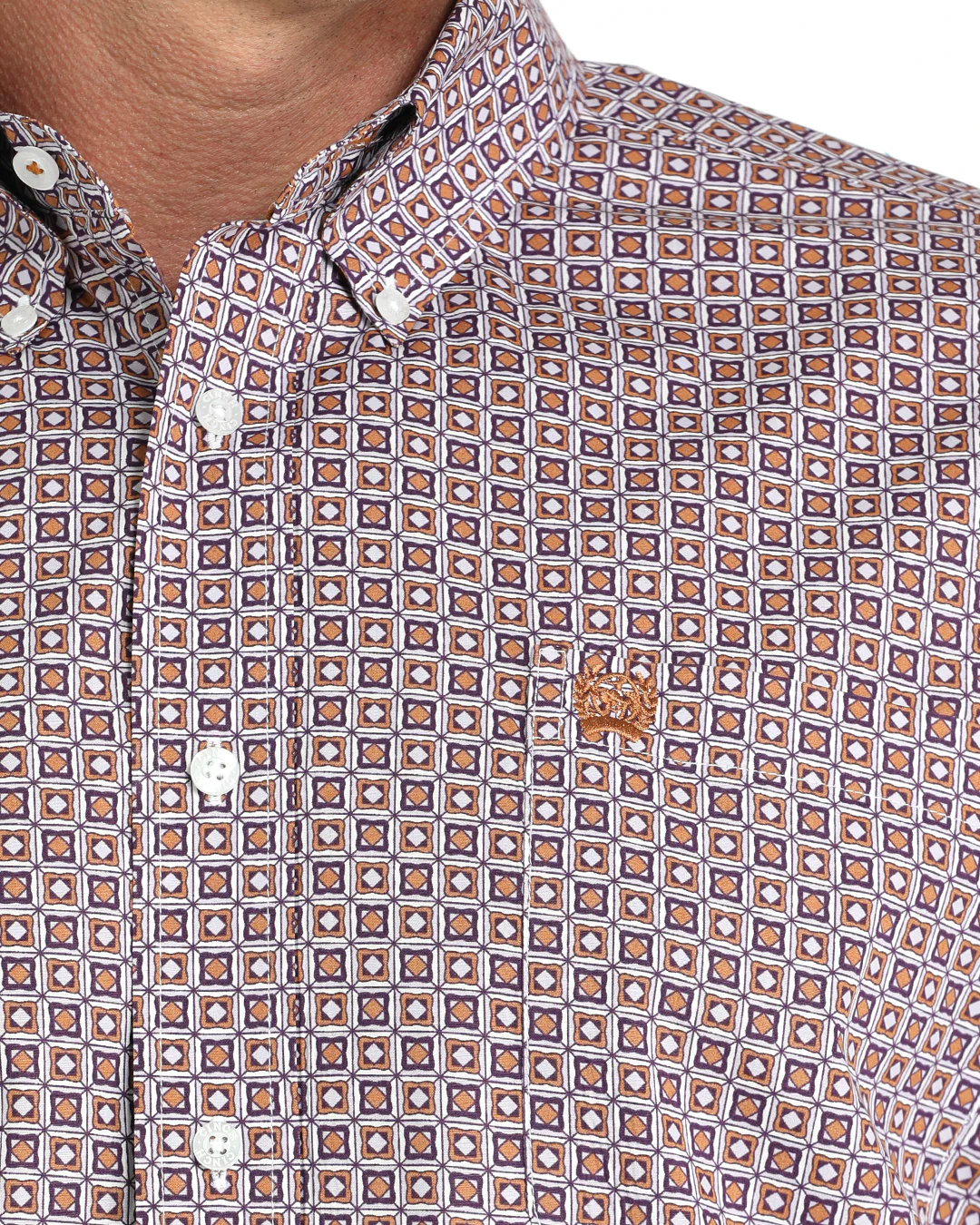 Men's Classic Fit Button-Down Western Shirt - Image 3