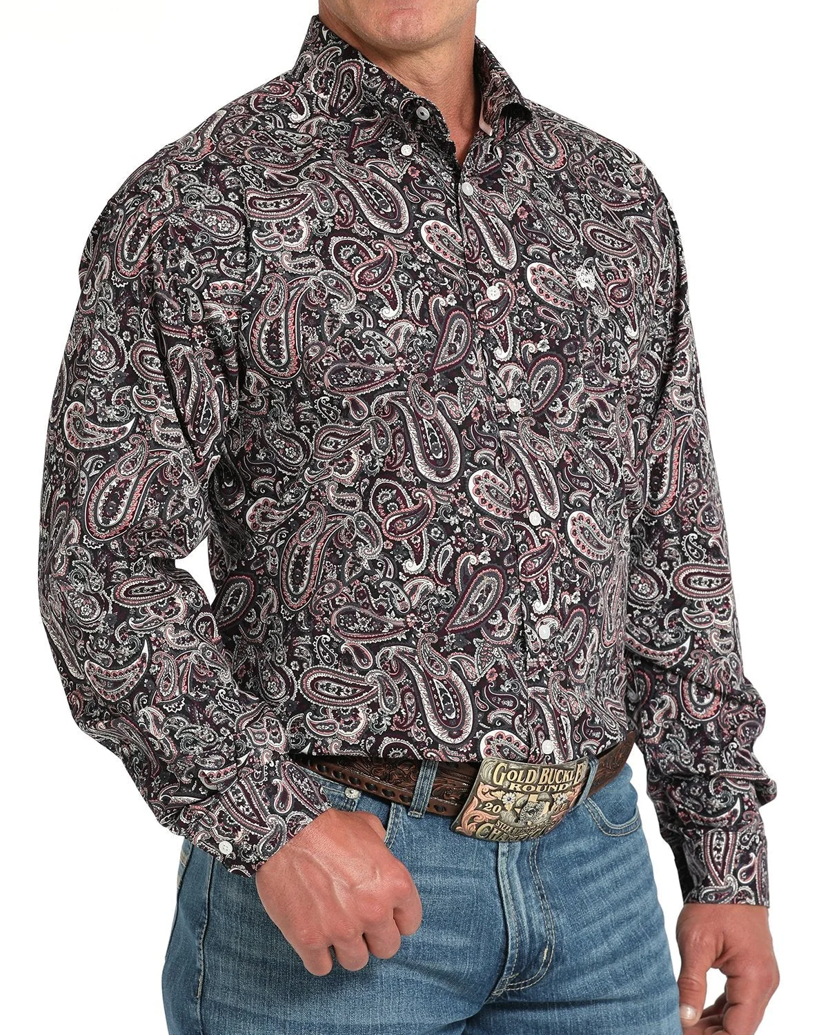 Men's Paisley Classic Fit Button-Down Western Shirt - Image 2