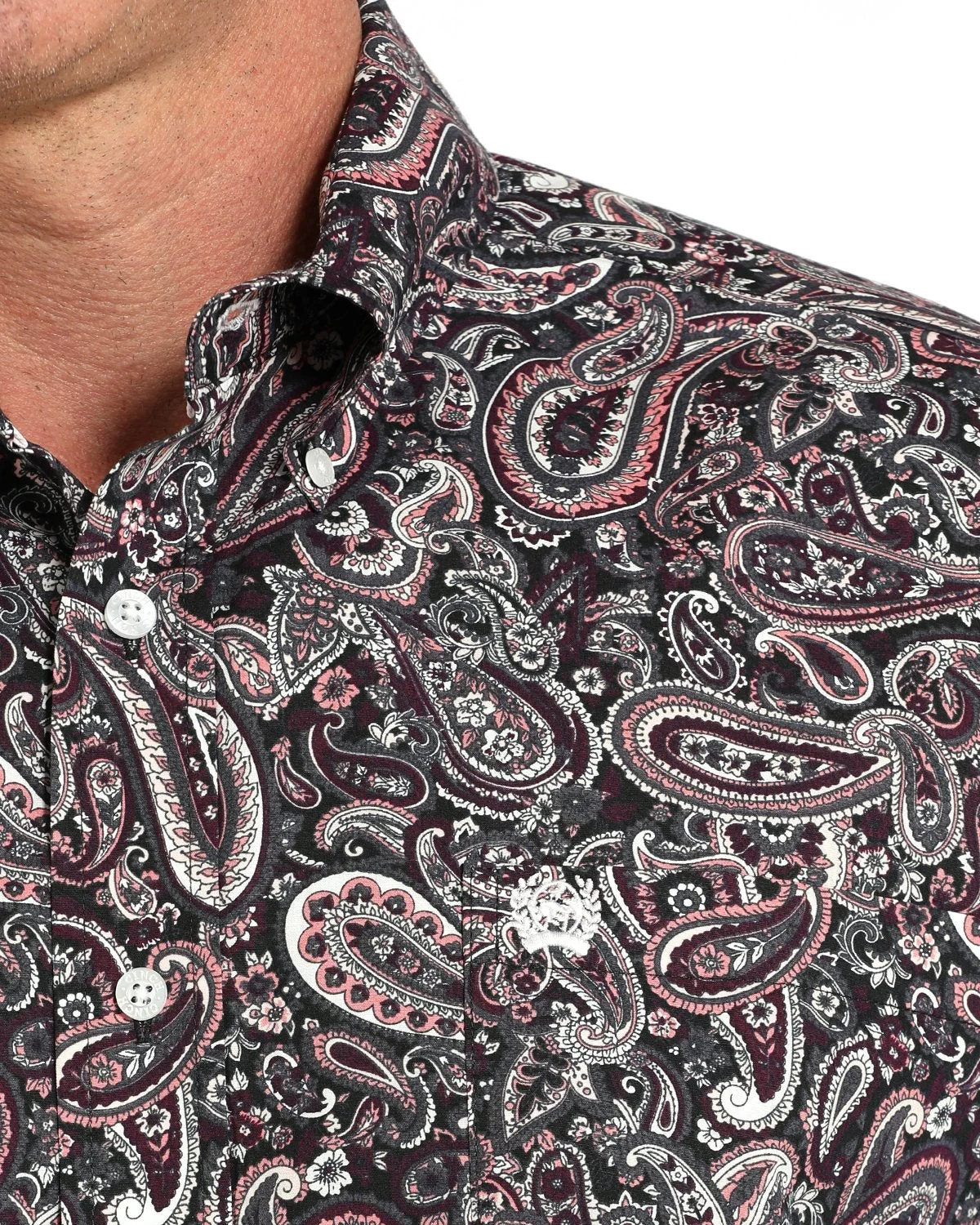 Men's Paisley Classic Fit Button-Down Western Shirt - Image 3