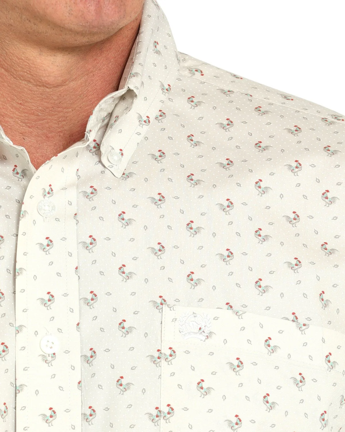 Men's Classic Fit Button-Down Western Shirt - Image 3
